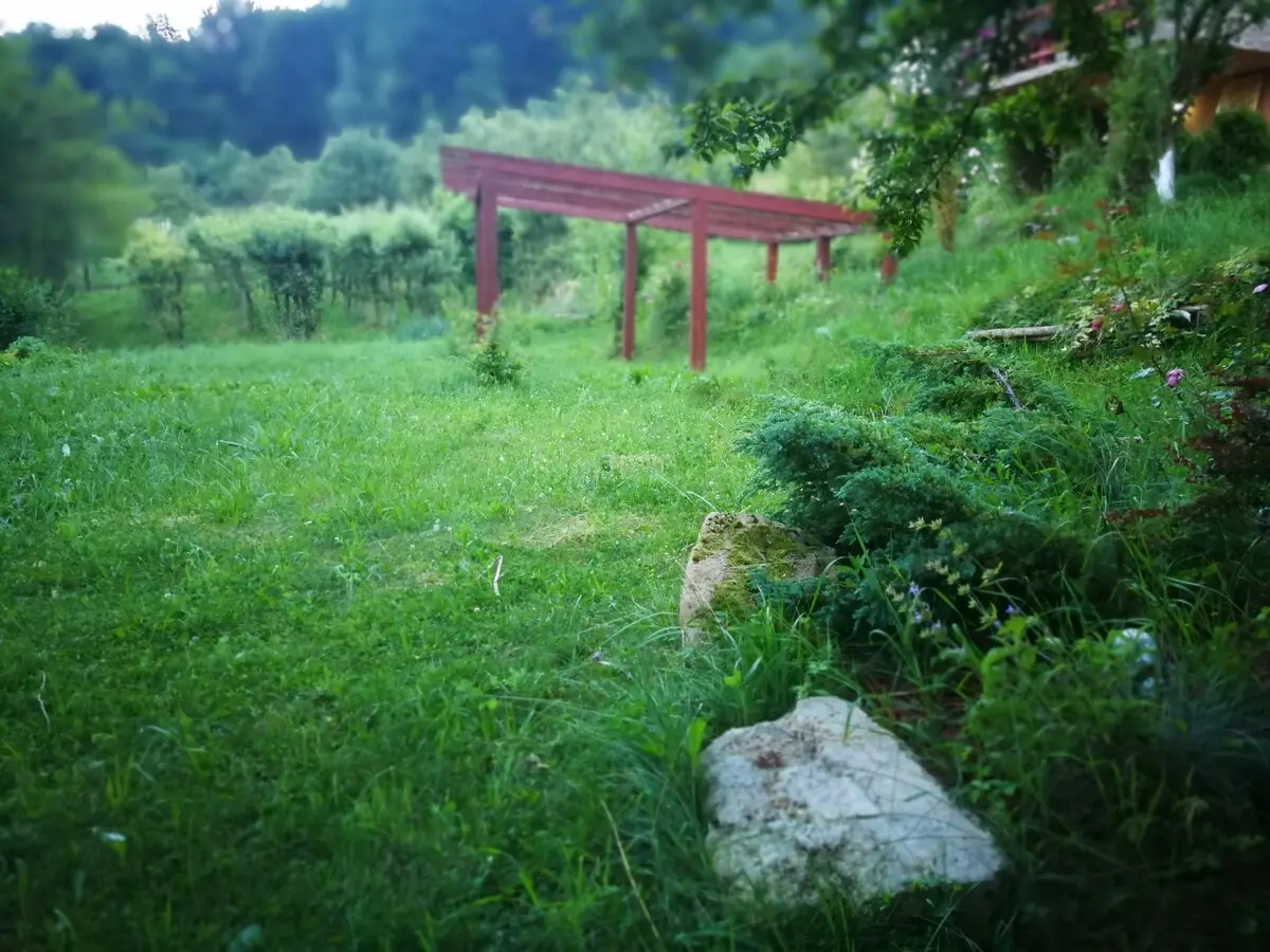 Green Idylle-PYramide View