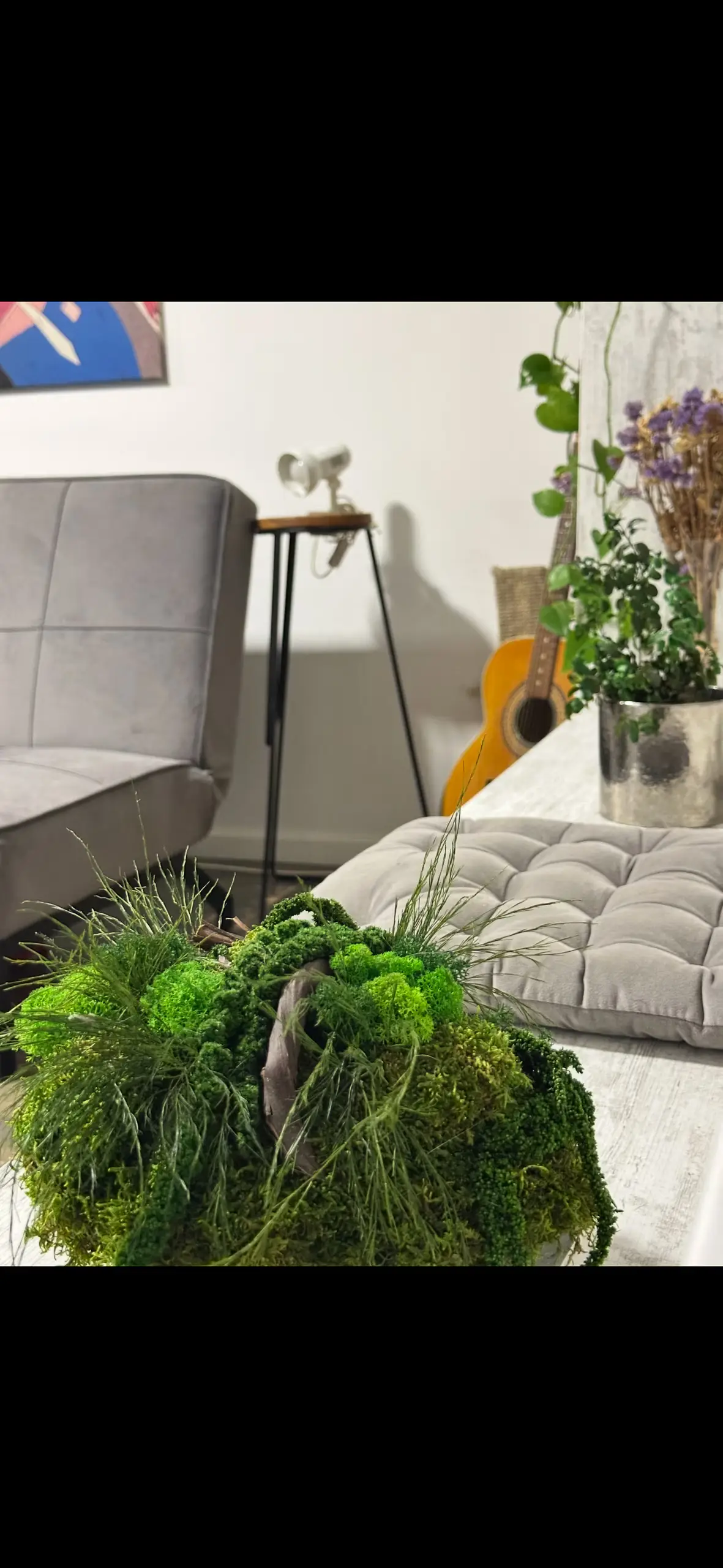 Little house in downtown with garden