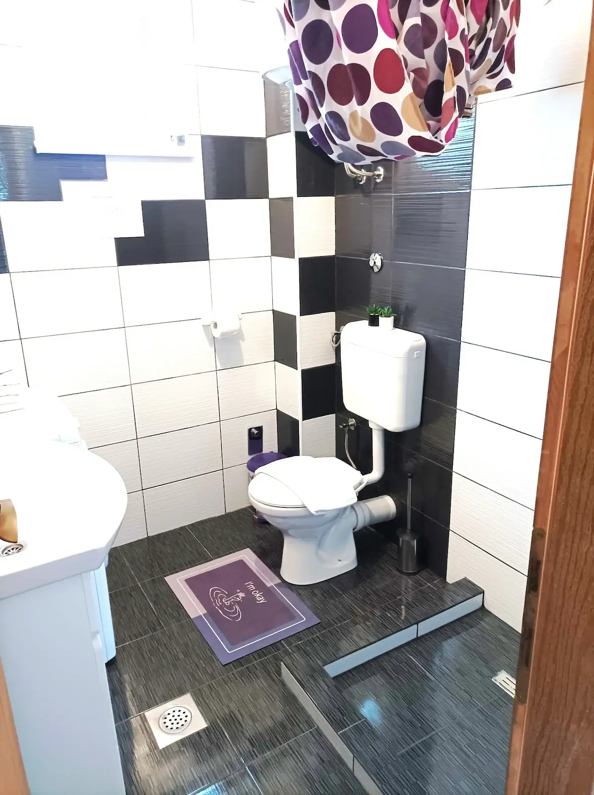 Apartment Asja