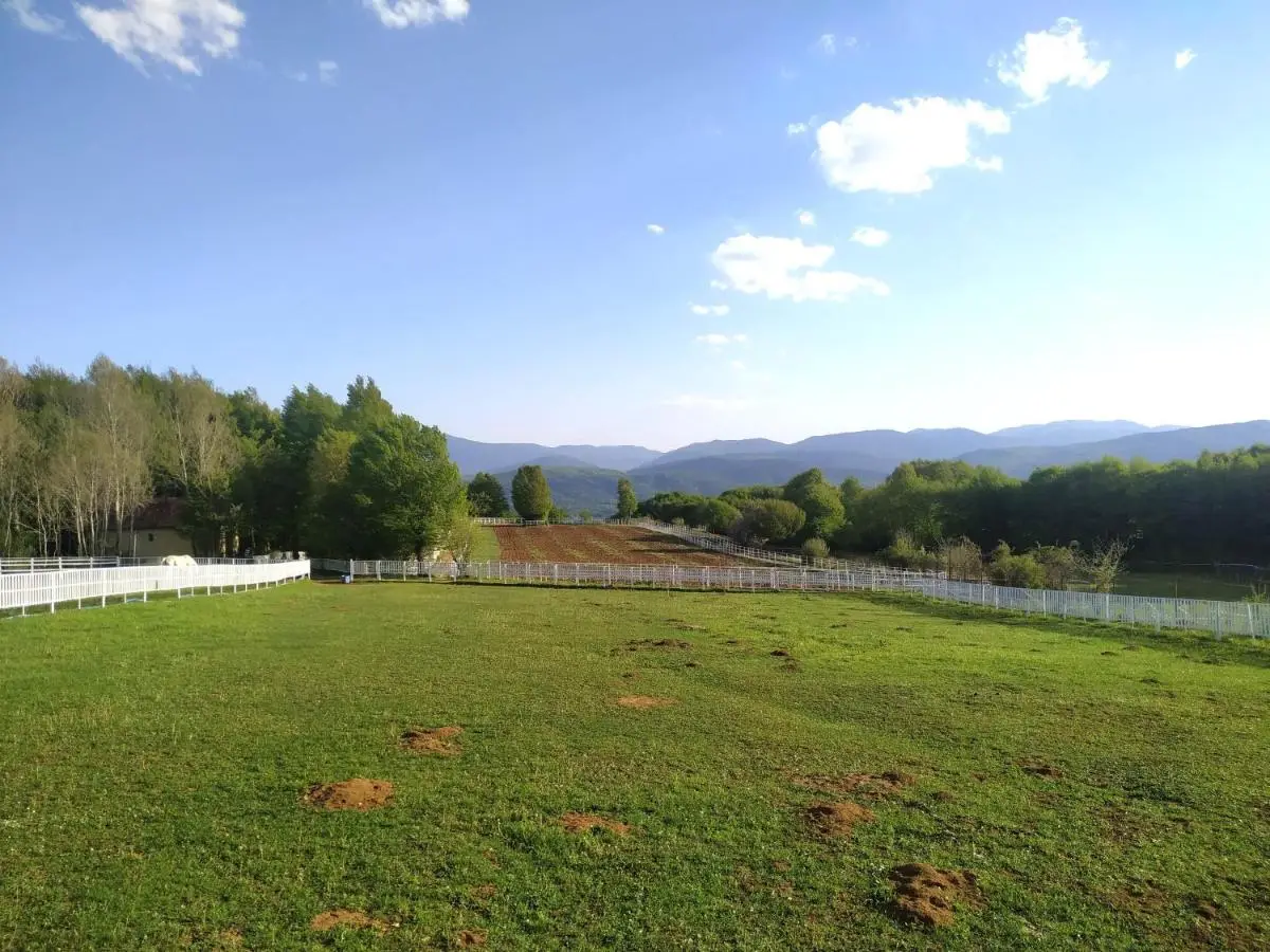 Yaban Yasam Chalets
