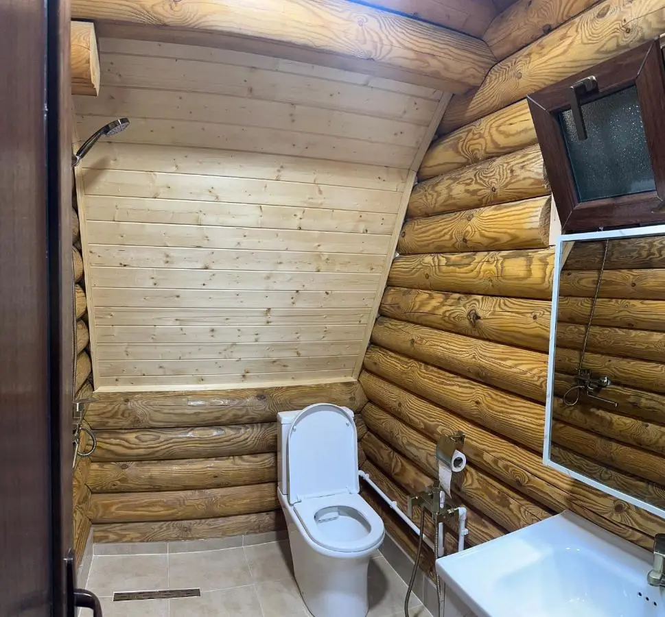 VIP-comfort BORJOMI