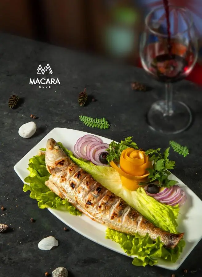 Macara Sheki City Hotel