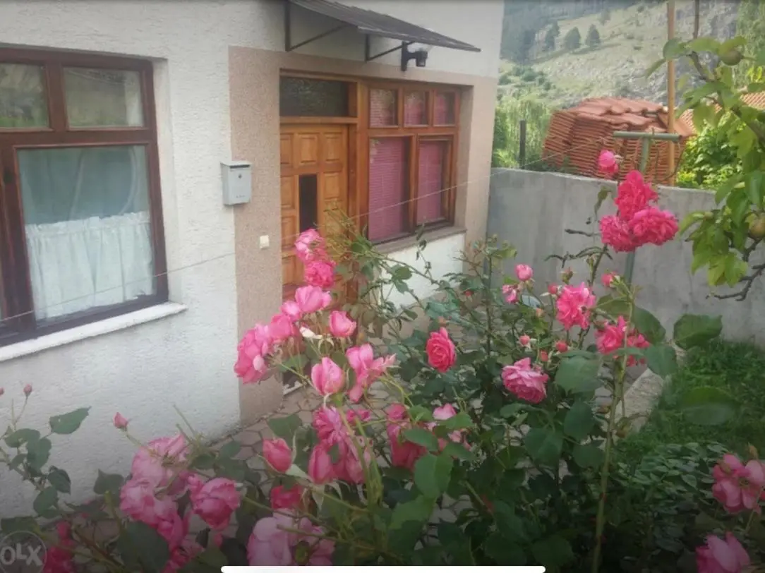Apartman AS