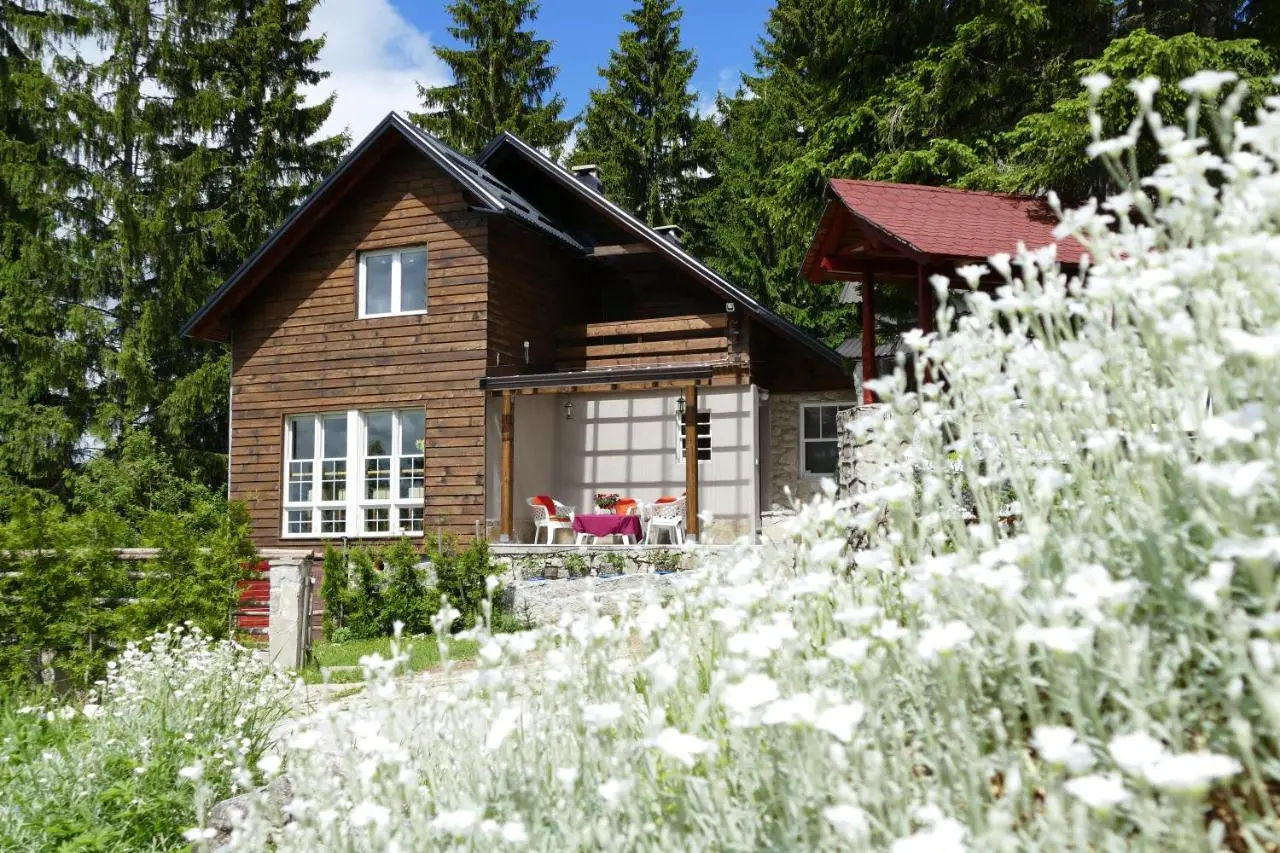 Vlašić House