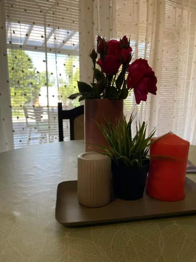 Apartment Vila Tara