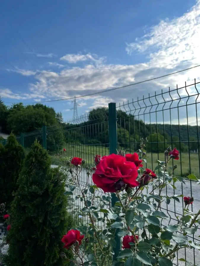 Ranch Diamond Sarajevo