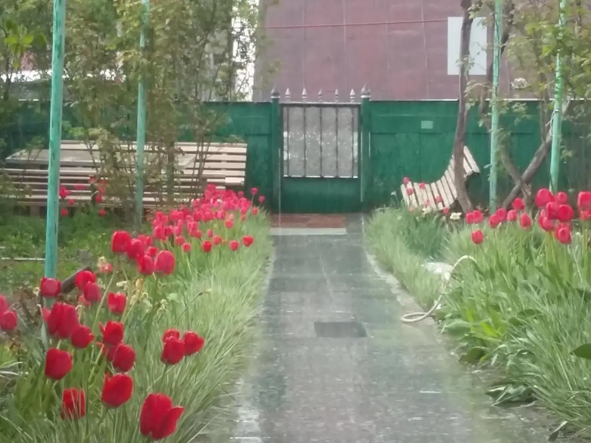 Emma's Guesthouse in Borjomi