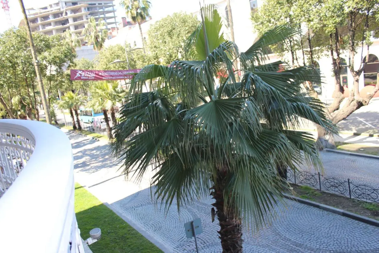 Batumi apartment in front of Sheraton