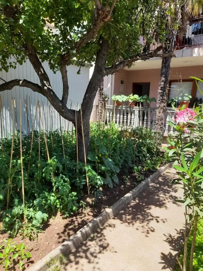Apartman Avdić