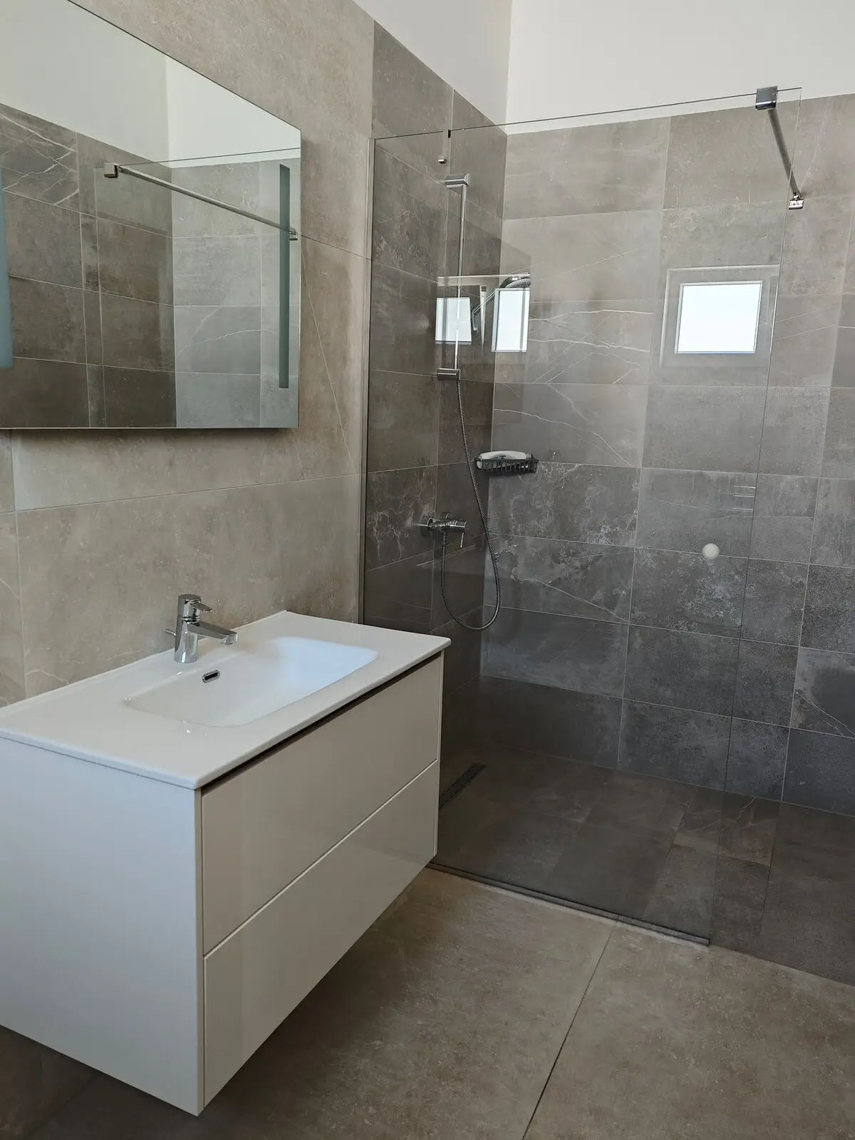 Luxury Villa Plandište 1