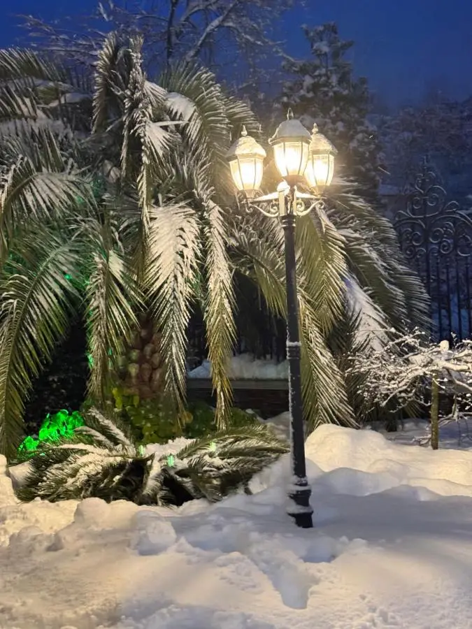 Green villa panorama