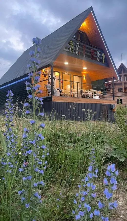 Apko Hut Gudauri