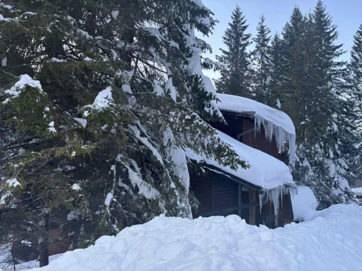 Villa Silk Vlasic