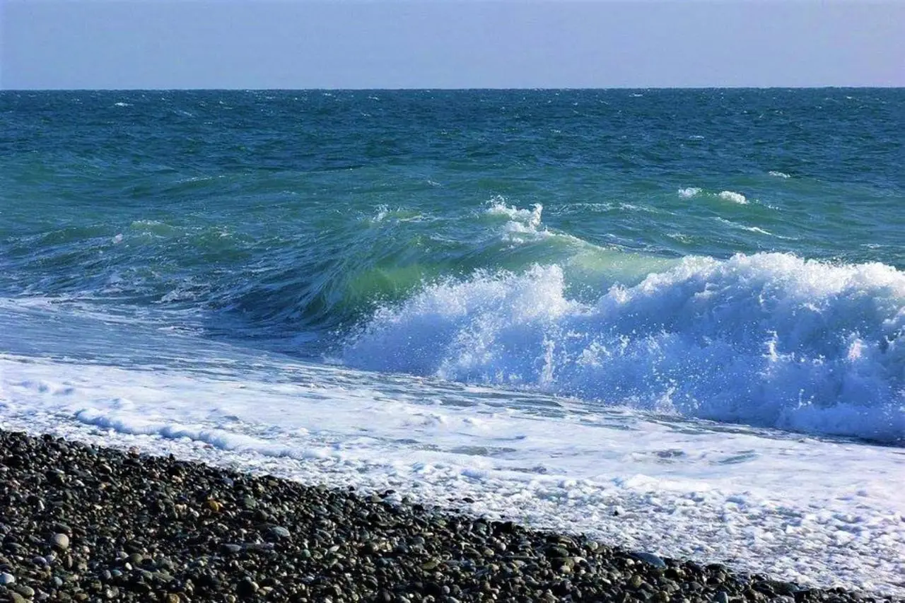 Next Wave Aparthotel