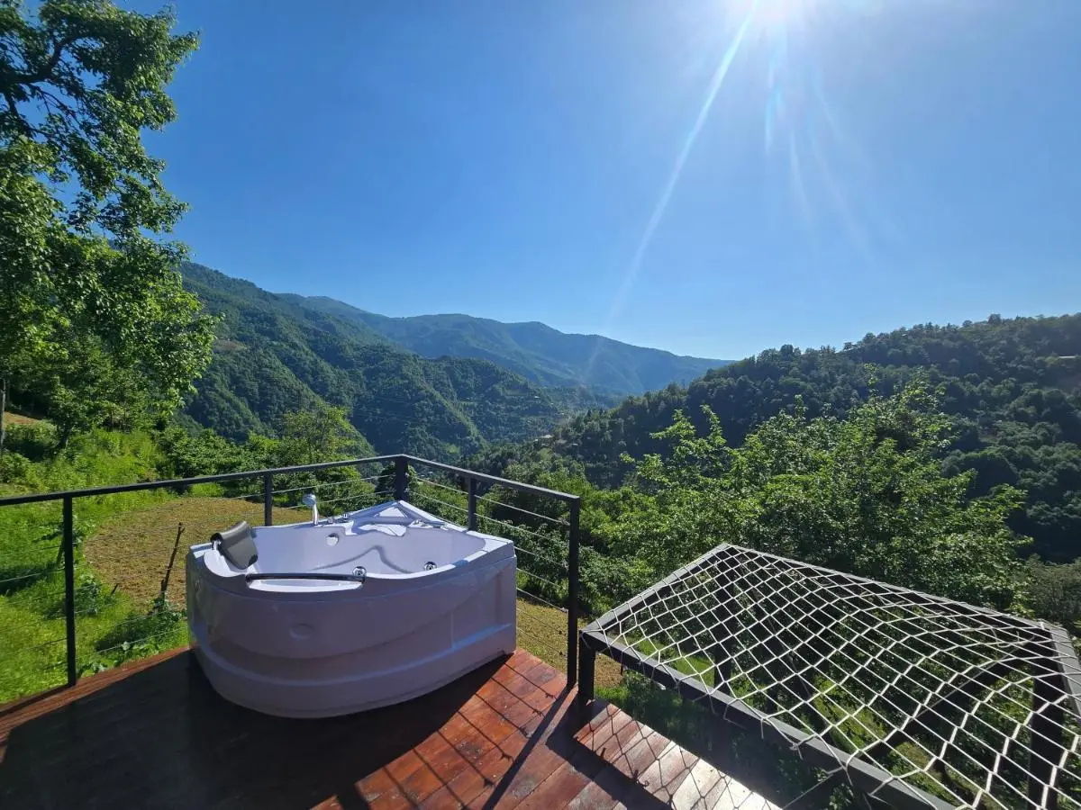 Hill House Merisi