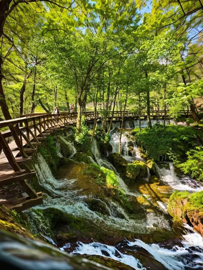 Vikendica Žute dunje Jajce