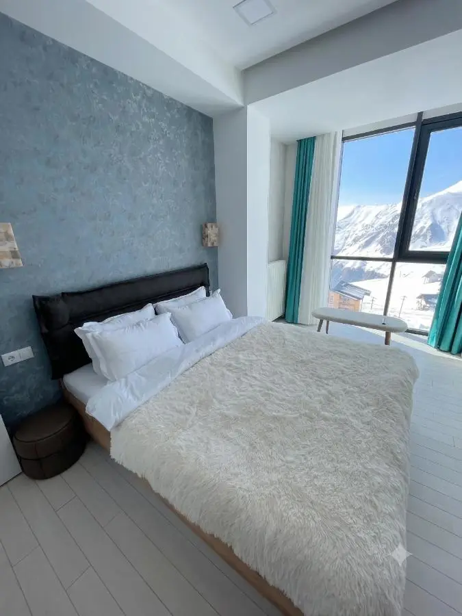 winter house GUDAURI