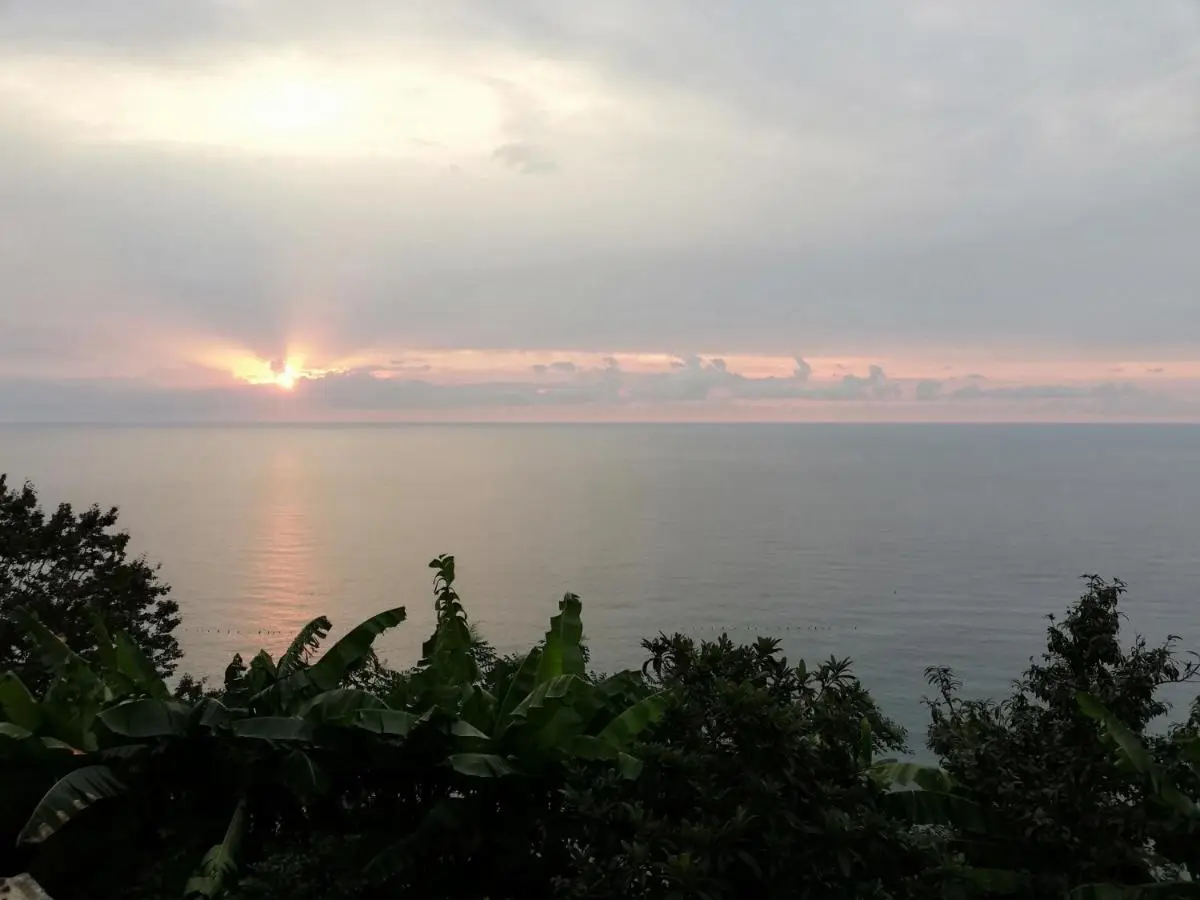 Albatross Kvariati Guest House