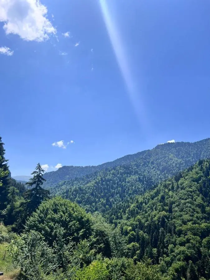 Hillstory Borjomi tba