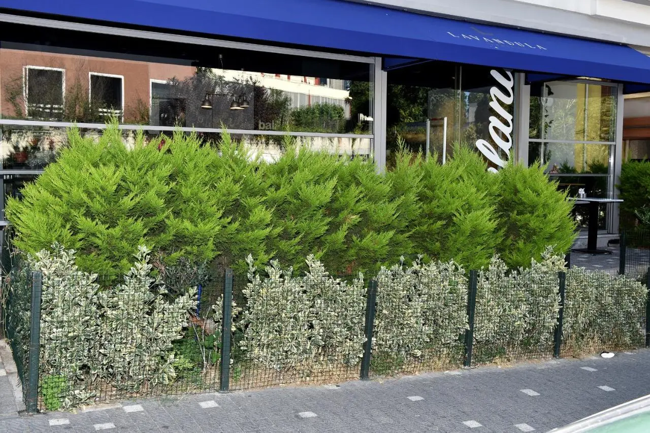 Levent Lavandula Hotel