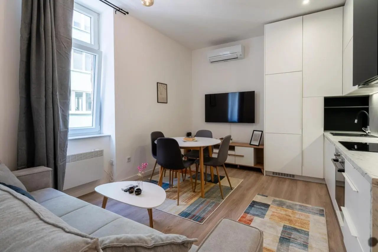 Modern Apartments in the Center of Sarajevo