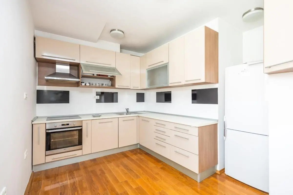 Spacious Apartment in Downtown