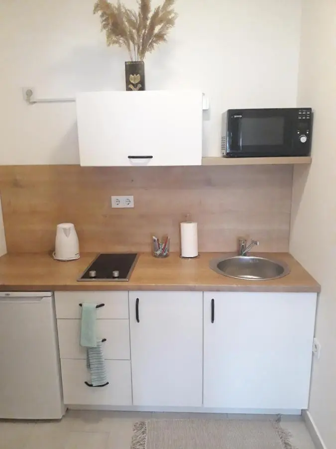 Studio apartman Promenada