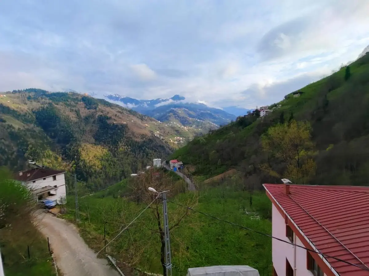 Melikoğlu Suite