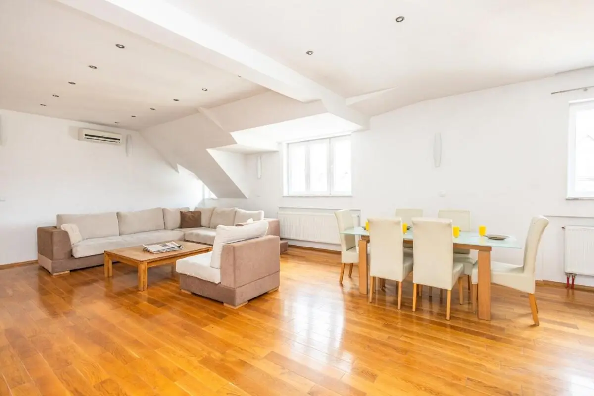 Spacious Apartment in Downtown