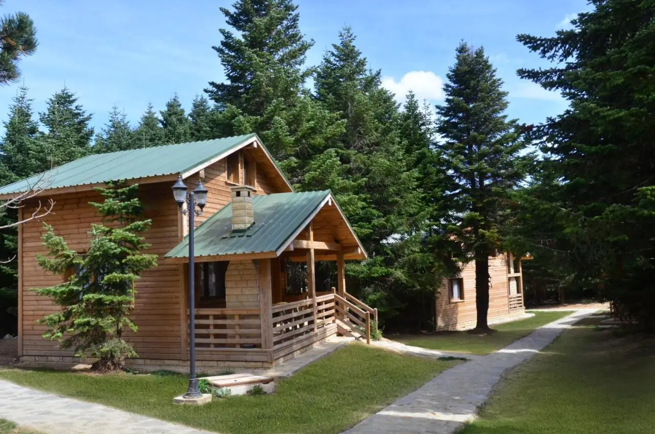 Uludag Orman Koskleri