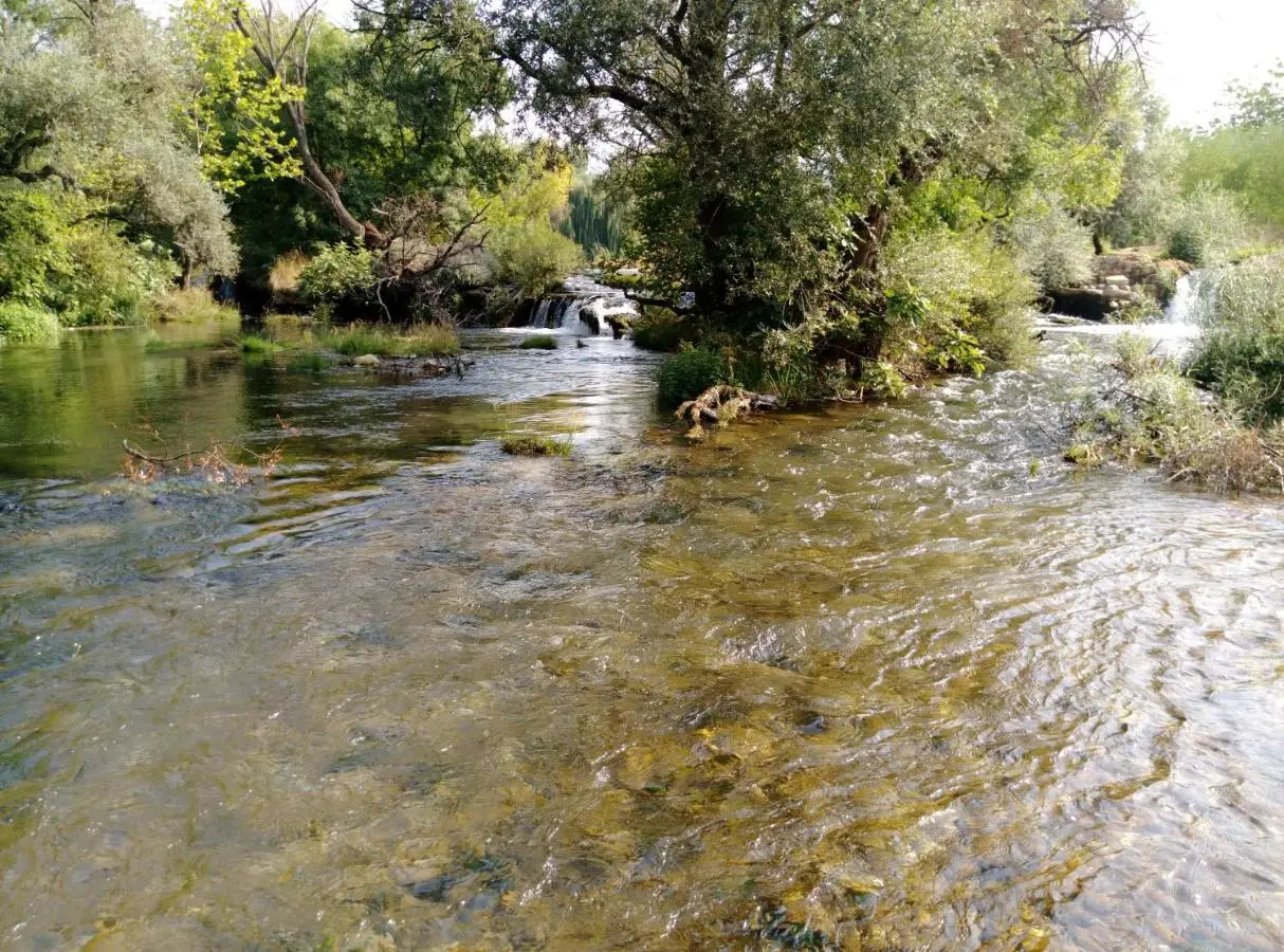 River House Buna