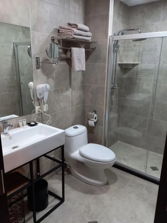 Bakuriani Crystal Loft 406