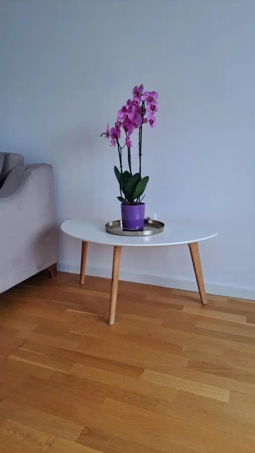 Meandar Luxury Apartment