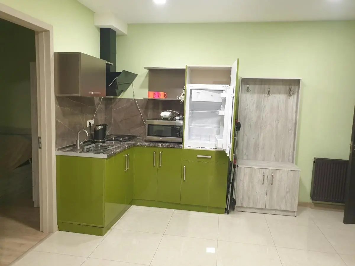 Bakuriani M25, Apartment 405