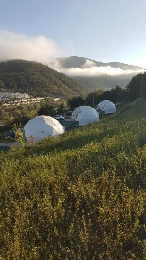 DENGEKORU Wildlife & Glamping