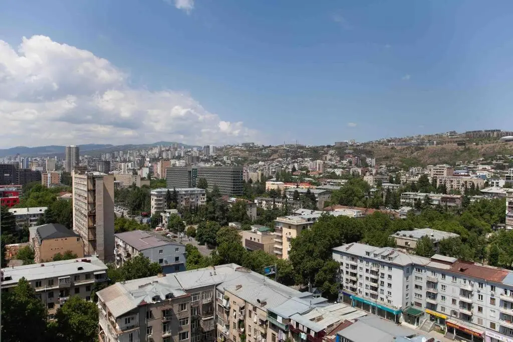 ProRealty - cozy 1 bedroom apartment on Kazbegi avenue 15