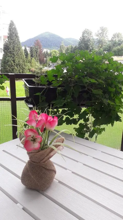 VIEW APARTMENT