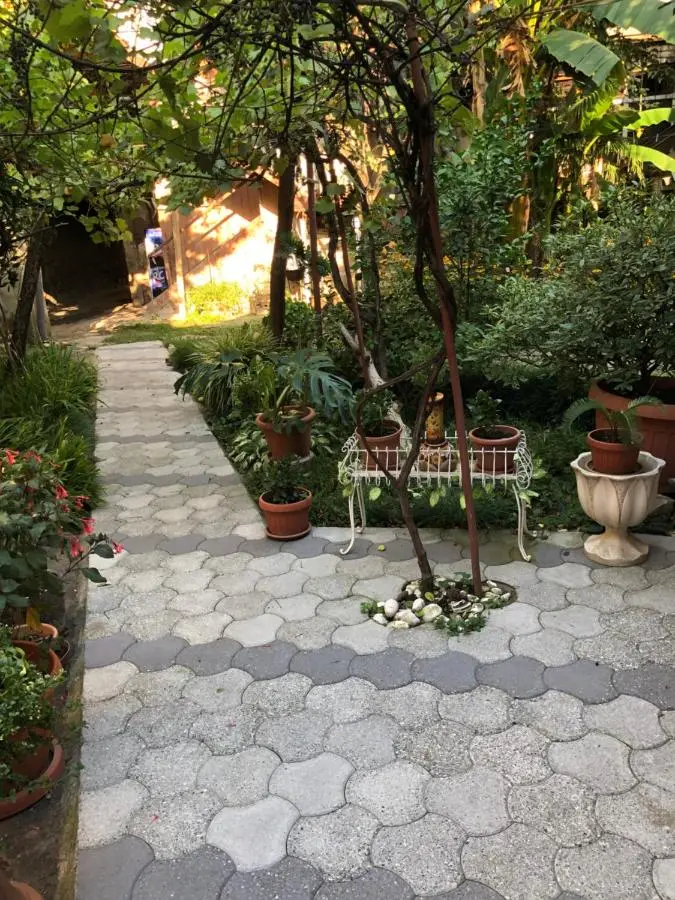 Kutaisi City Heart Apartment
