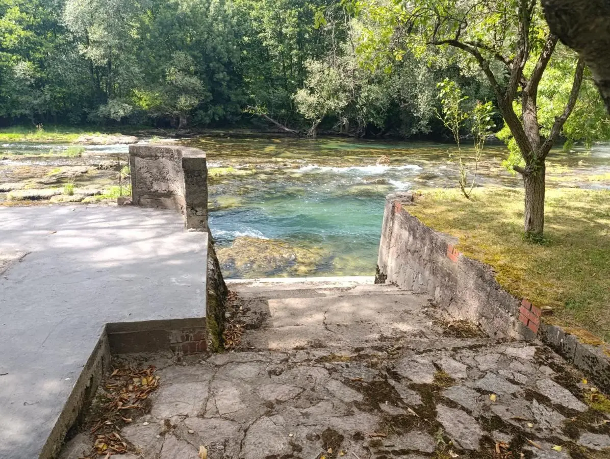 River Nest