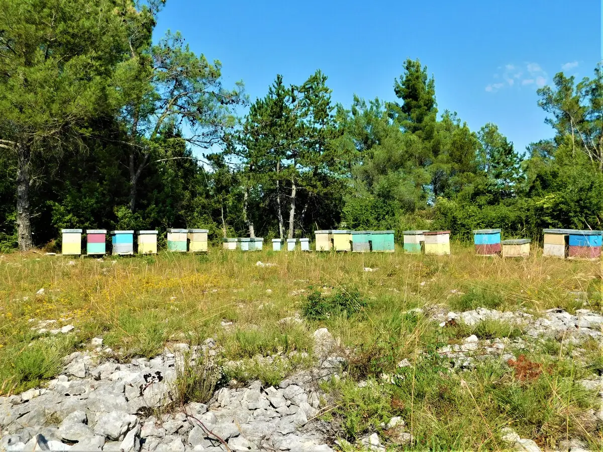 Crystal apts.  near Kravica waterfalls II