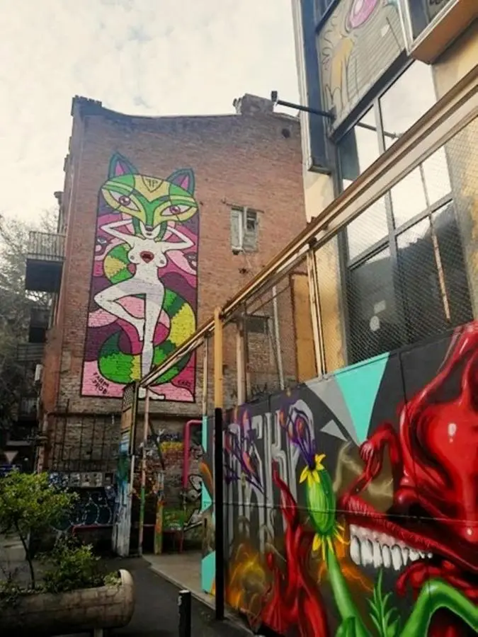 birdhome in Tbilisi (Maria)