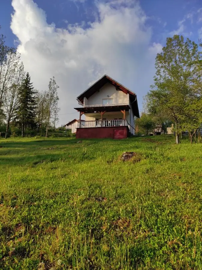 Vlasic holiday home