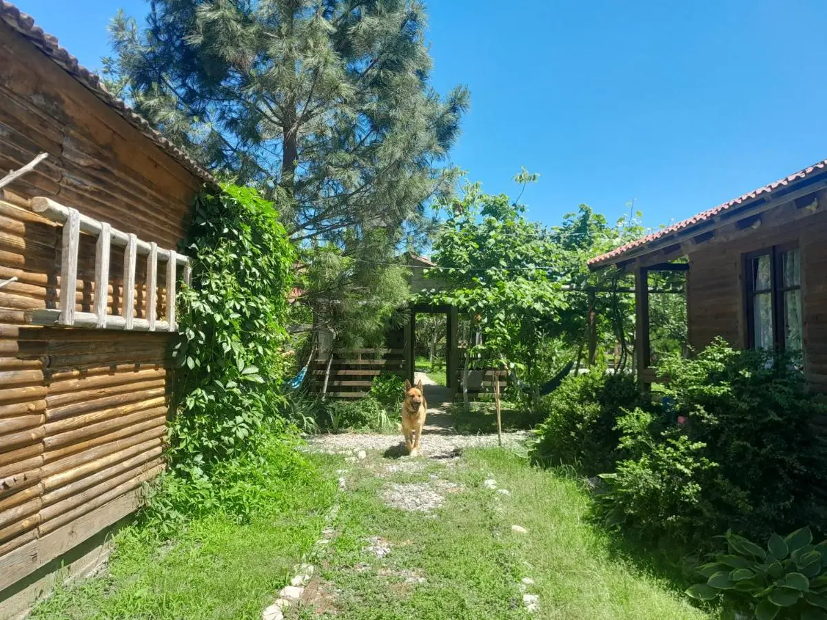Tiny houses Genacvale