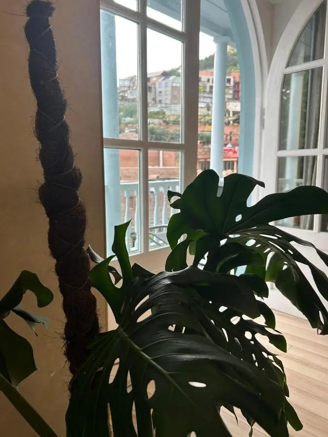 Apartment in historical district of Tbilisi