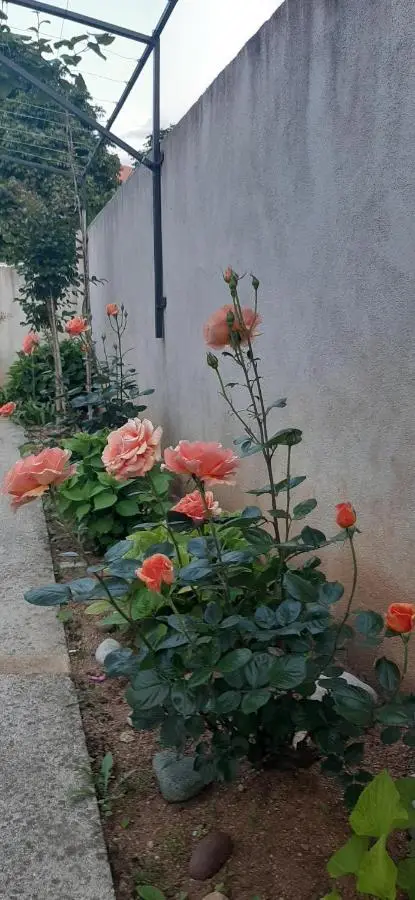 Guest House Vanja