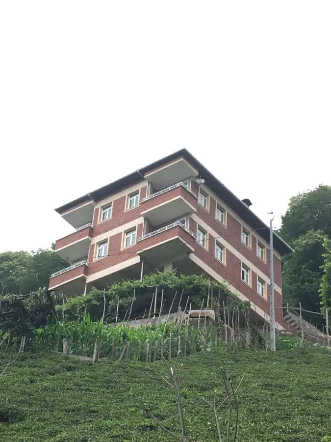 Gunguli Pansiyon