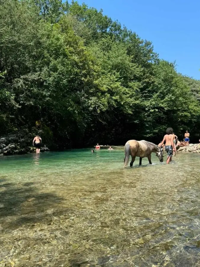 Martvili Guest House OASIS