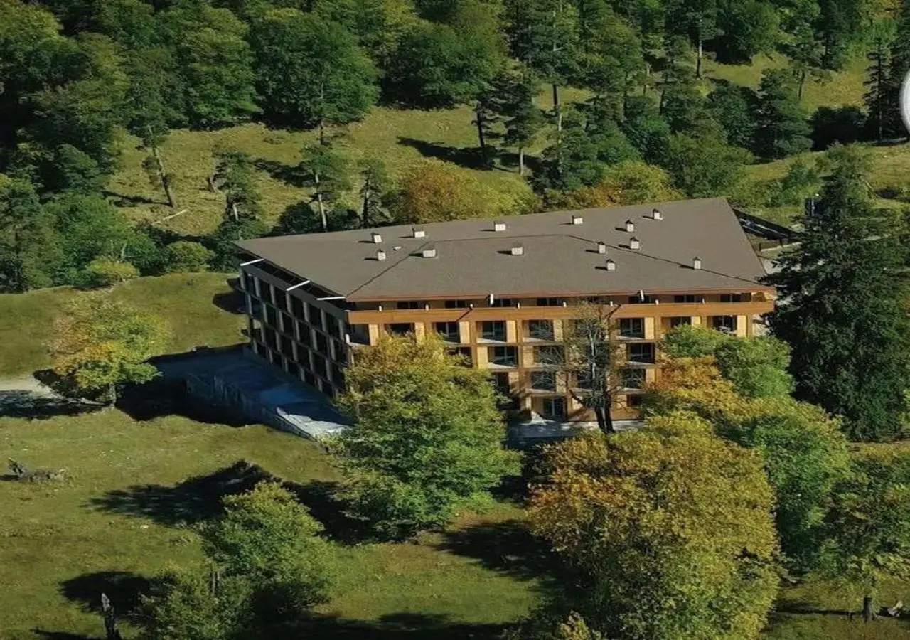 Bakuriani Valley 10