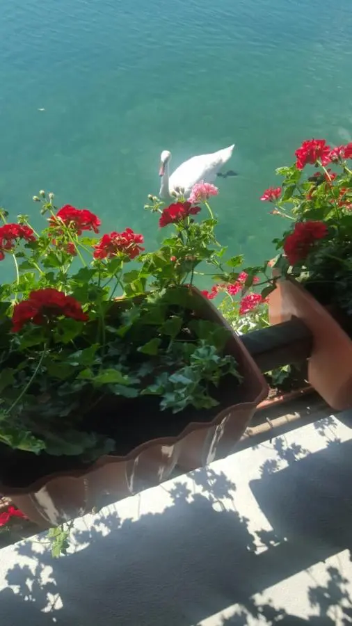 Apartman View Una