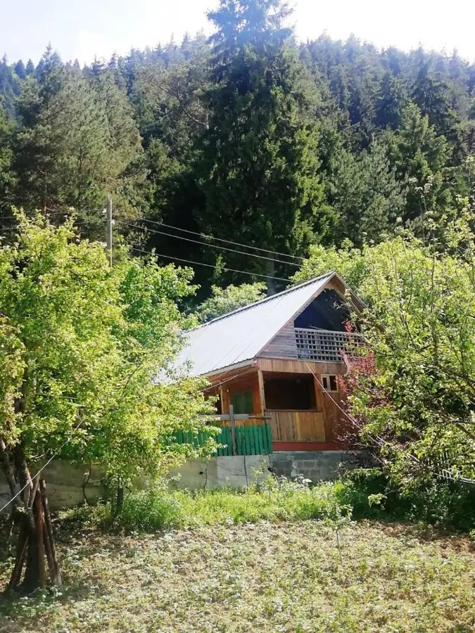 Guest House Ilia